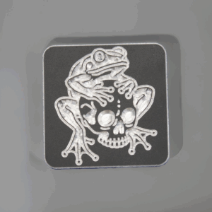 Frog on a Skull