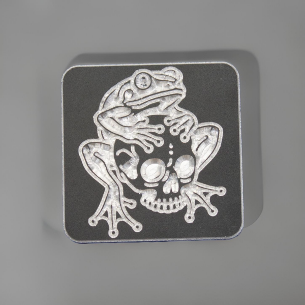 Frog on a Skull